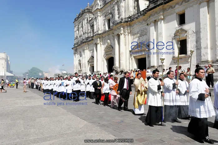 : Church festival with procession, Catedral de la : Church festival with procession, Catedral de la