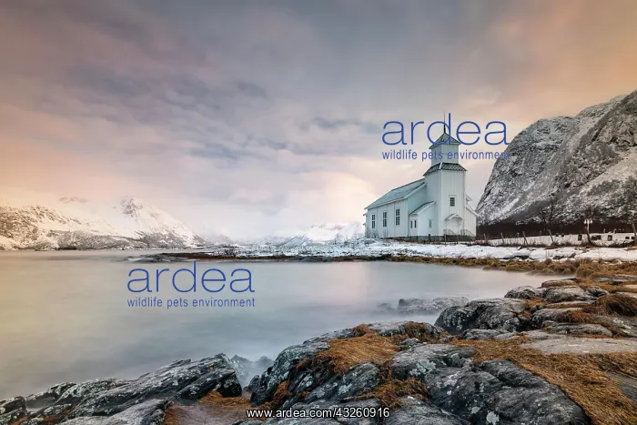  : Church of Gimscy in front of snowy mountains, Gimsoykirke