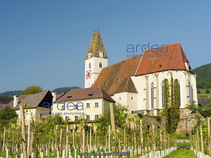 : Church Heiliger Mauritius (Saint Maurice). Historic : Church Heiliger Mauritius (Saint Maurice). Historic