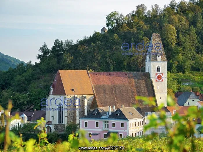 : Church Heiliger Mauritius (Saint Maurice). Historic : Church Heiliger Mauritius (Saint Maurice). Historic