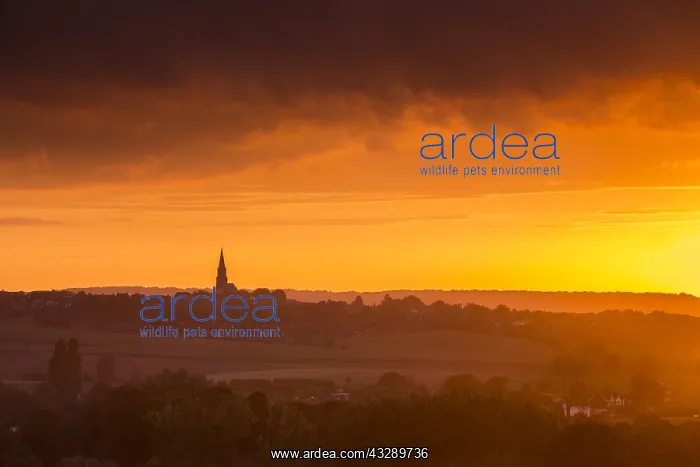 : Church in a hilly landscape, The Netherlands, L : Church in a hilly landscape, The Netherlands, L
