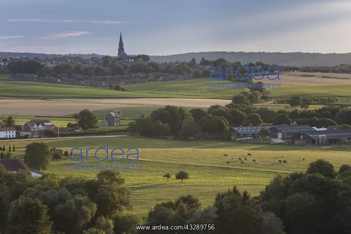 : Church in a hilly landscape, The Netherlands, L : Church in a hilly landscape, The Netherlands, L
