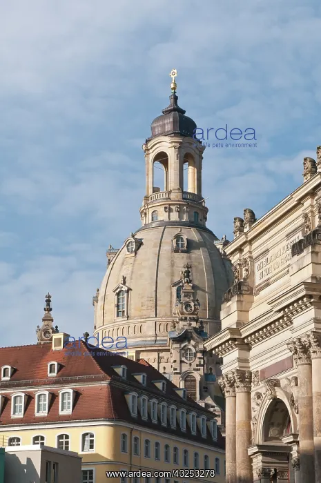 : Church of Our Lady Dresden, Germany : Church of Our Lady Dresden, Germany