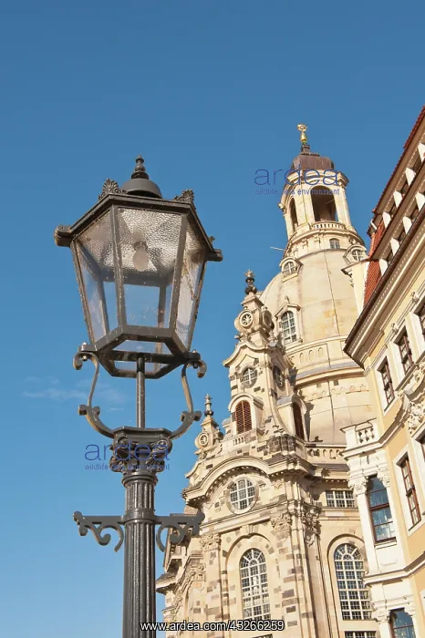 : Church of Our Lady Dresden, Germany : Church of Our Lady Dresden, Germany