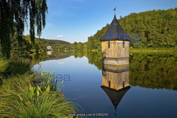 : Church in the lake, church spire reminiscent of : Church in the lake, church spire reminiscent of