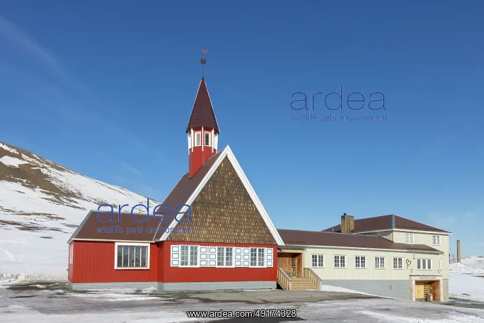 : Church Longyearbyen : Church Longyearbyen