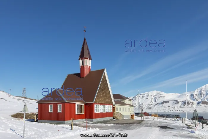 : Church Longyearbyen : Church Longyearbyen