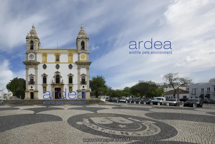 : Church of the Third Order of Our Lady of Mount C : Church of the Third Order of Our Lady of Mount C