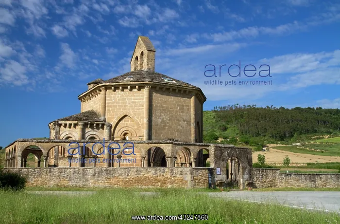 : Church of Saint Mary of Eunate along the : Church of Saint Mary of Eunate along the