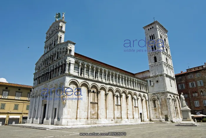 : Church of San Michele in Foro, Lucca, Tuscany : Church of San Michele in Foro, Lucca, Tuscany