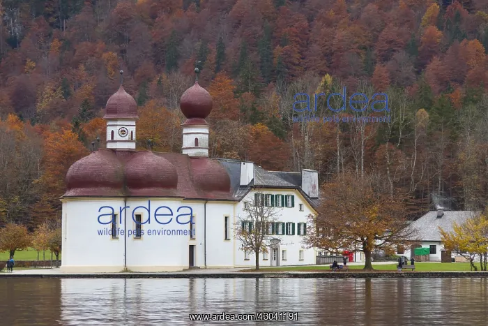 : Church of Sankt Bartholoma / Sankt Bartholomae at : Church of Sankt Bartholoma / Sankt Bartholomae at