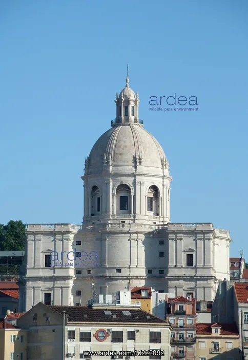 : Church of Santa Engracia, Baroque National : Church of Santa Engracia, Baroque National
