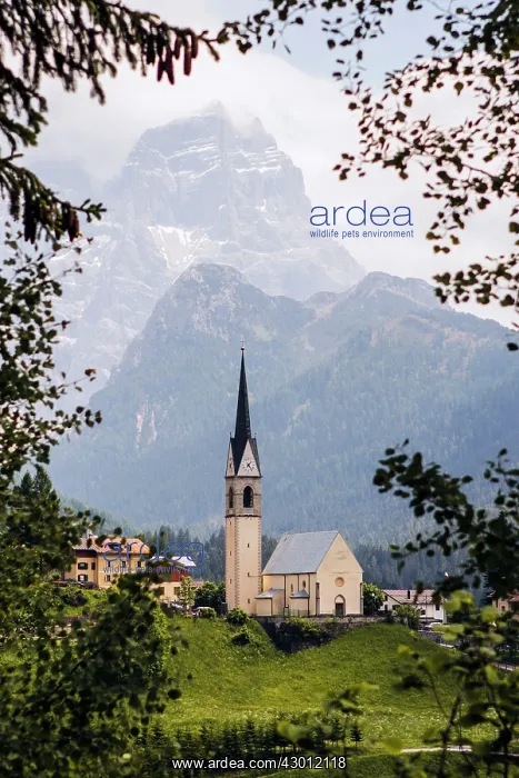 : Church in Selva di Cadore : Church in Selva di Cadore