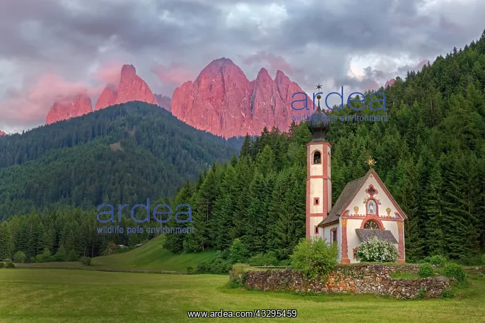: Church St. Johann in Ranui with Odle Group mountain : Church St. Johann in Ranui with Odle Group mountain