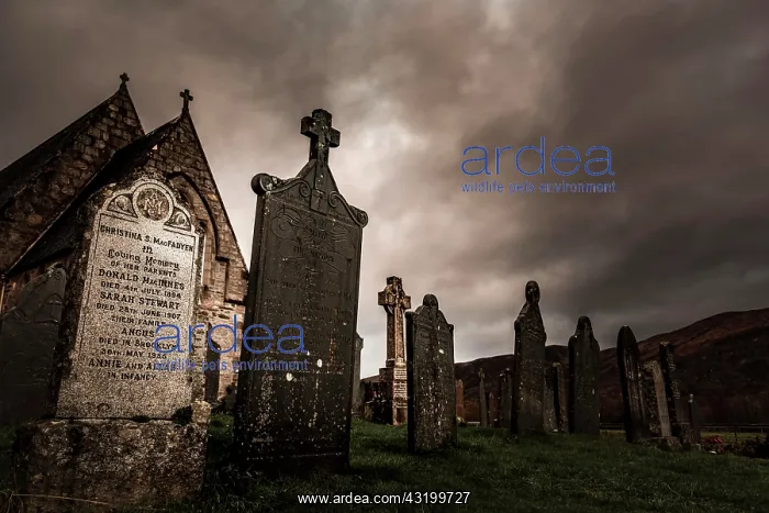 : Church St. John with cemetery under dramatic sky : Church St. John with cemetery under dramatic sky