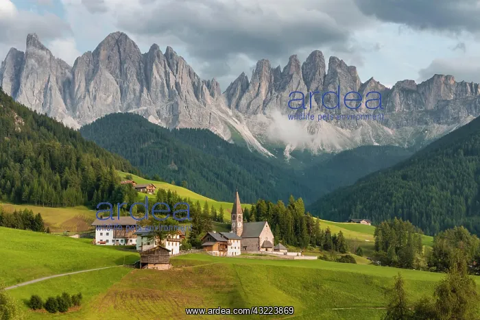 : Church St. Magdalena, Villnnital, in the back Geislergruppe : Church St. Magdalena, Villnnital, in the back Geislergruppe
