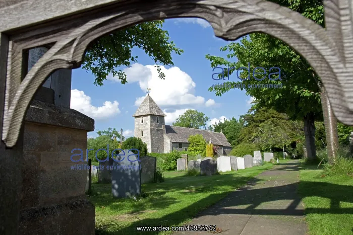  : Church of St Mary Magdalene