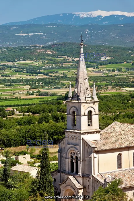: Church steeple with Mont Ventoux beyond : Church steeple with Mont Ventoux beyond