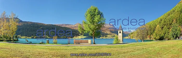 : Church tower in Lake Reschen Panorama, Graun, Reschen : Church tower in Lake Reschen Panorama, Graun, Reschen