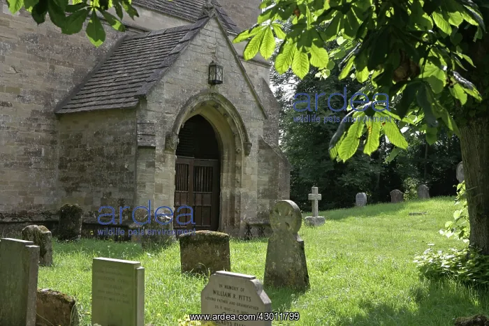 : Churchyard Shipton on Cherwell, Oxfordshire, UK : Churchyard Shipton on Cherwell, Oxfordshire, UK