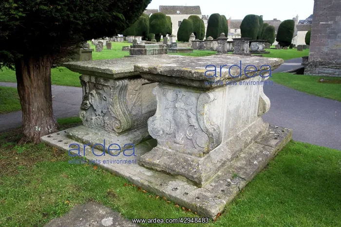 : Churchyard - Table top tombs - St Marys Church : Churchyard - Table top tombs - St Marys Church