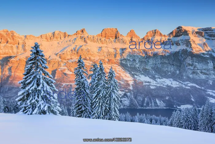 : Churfirsten, St. Gallen, Switzerland, Europe : Churfirsten, St. Gallen, Switzerland, Europe