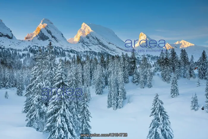 : Churfirsten, Toggenburg, Switzerland, Europe : Churfirsten, Toggenburg, Switzerland, Europe