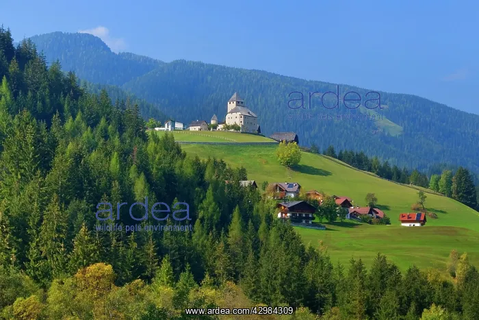 : Ciastel de Tor / Castle of Thurn - historic Castle : Ciastel de Tor / Castle of Thurn - historic Castle