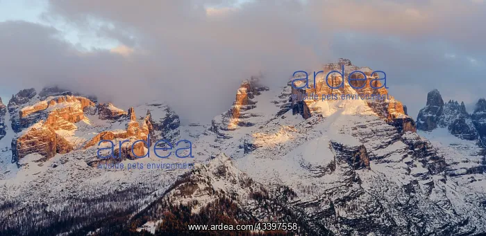 : Cima Falkner and Cima Brenta. View of the Dolomiti : Cima Falkner and Cima Brenta. View of the Dolomiti