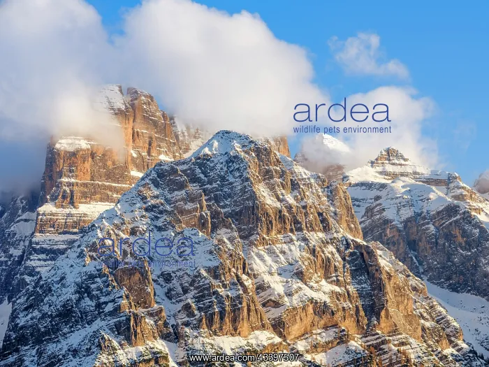 : Cima Tosa. View of the Dolomiti di Brenta from Val : Cima Tosa. View of the Dolomiti di Brenta from Val