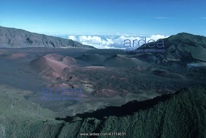: Cinder Cones, Haleakala Crater, Hawaii : Cinder Cones, Haleakala Crater, Hawaii