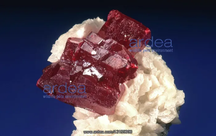 : Cinnabar on Dolomite : Cinnabar on Dolomite
