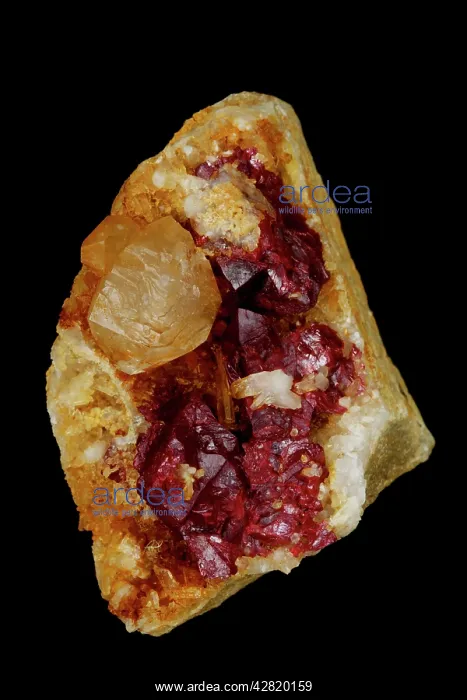 : Cinnabar (HgS) - Mercury sulfide (only ore of mercury) : Cinnabar (HgS) - Mercury sulfide (only ore of mercury)