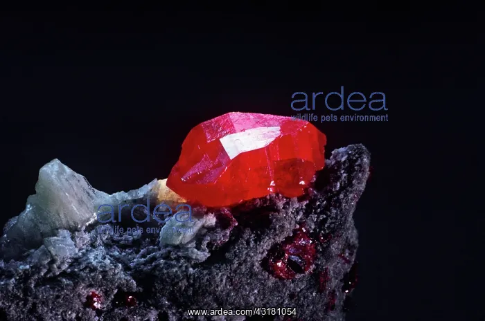 : Cinnabar from Hunan, China : Cinnabar from Hunan, China