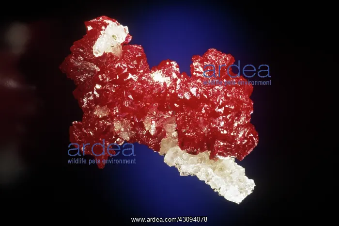 : Cinnabar and Quartz : Cinnabar and Quartz