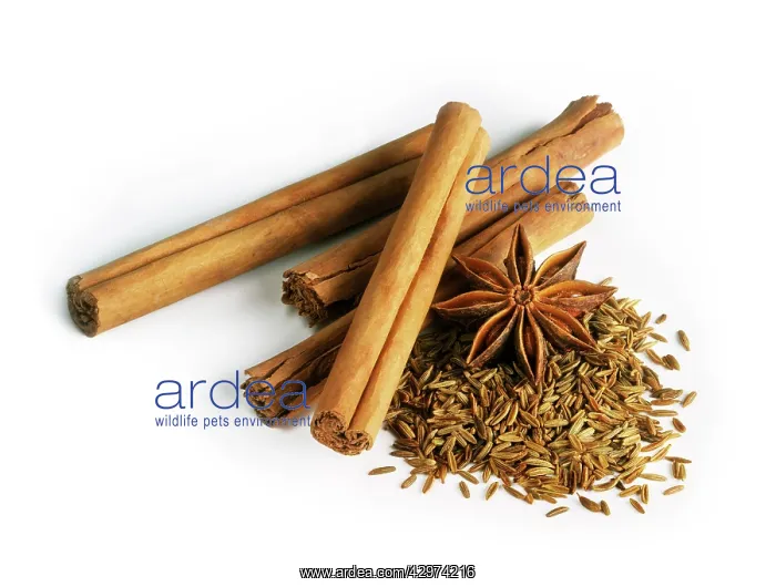 : Cinnamon, Cinnamomum verum : Cinnamon, Cinnamomum verum