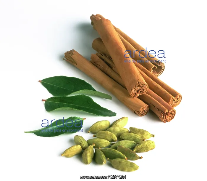 : Cinnamon, Cinnamomum verum : Cinnamon, Cinnamomum verum