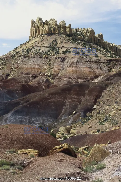 : Circle Cliffs, Grand Staircase, Utah : Circle Cliffs, Grand Staircase, Utah