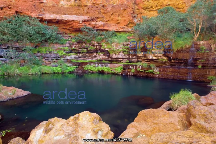 : Circular Pool - water cascades down a steep, heavily : Circular Pool - water cascades down a steep, heavily