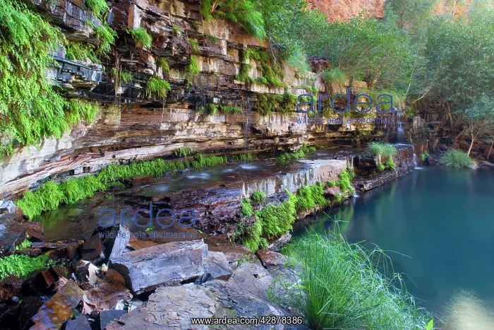 : Circular Pool - water cascades down a steep, heavily : Circular Pool - water cascades down a steep, heavily