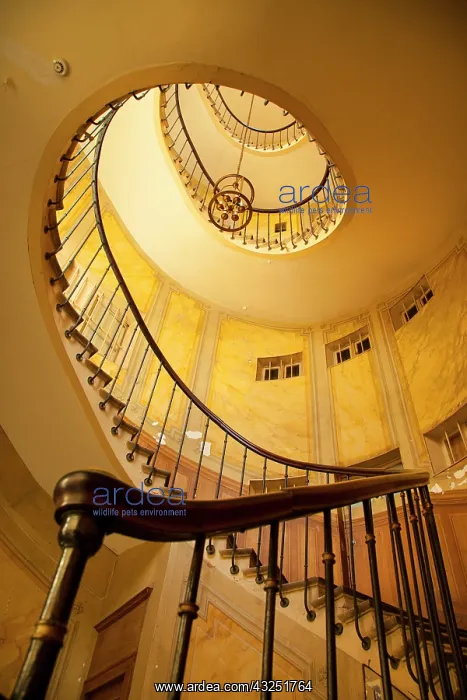 : Circular staircase inside building near : Circular staircase inside building near