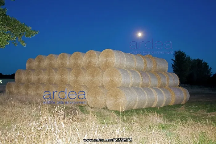  : Circular Straw bales - under Moonlight