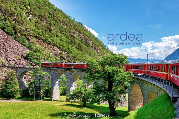 : Circular viaduct of Brusio, Rhaetian Railway, Bernina : Circular viaduct of Brusio, Rhaetian Railway, Bernina