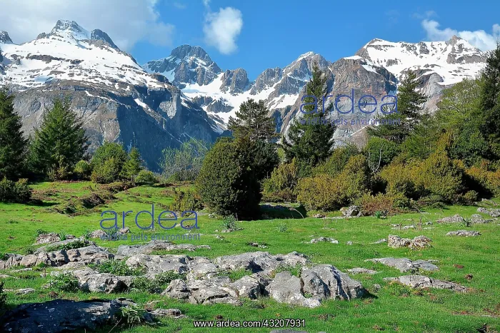  : Cirque d'Aspe in spring, Pyrenees National Park