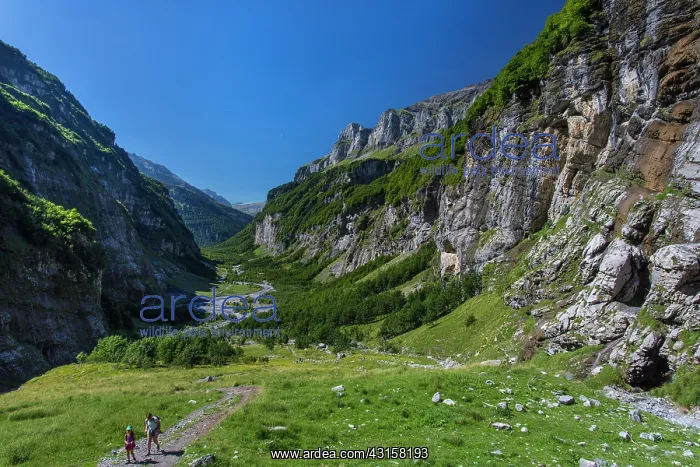  : Cirque of Sixt fer a cheval - Sixt fer a cheval