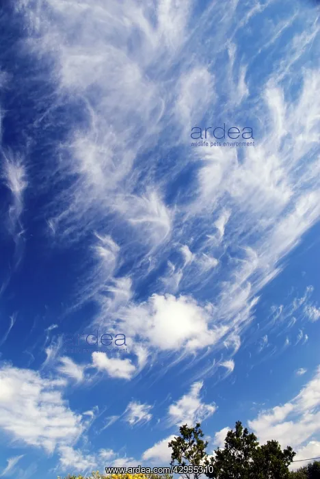 : Cirrus uncinus clouds : Cirrus uncinus clouds
