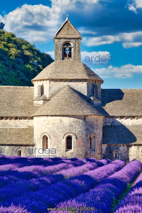 : Cistercian Abbey Abbaye Notre-Dame de Ssnanque : Cistercian Abbey Abbaye Notre-Dame de Ssnanque