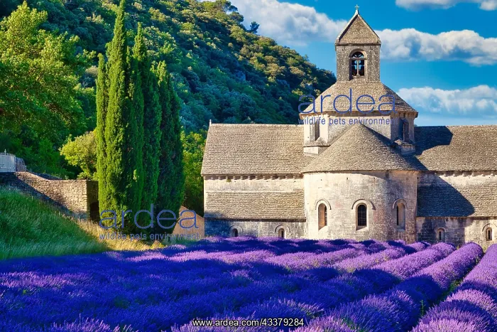  : Cistercian Abbey Abbaye Notre-Dame de Ssnanque