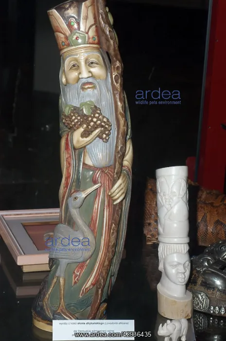 : CITES confiscations Warsaw Airport- ivory carvings : CITES confiscations Warsaw Airport- ivory carvings