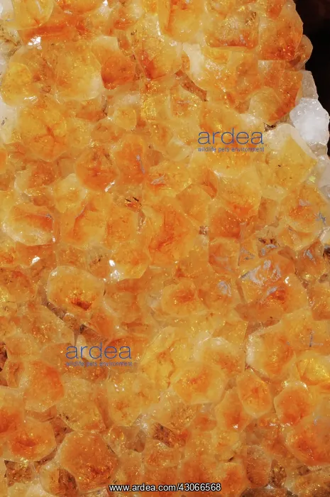 : Citrine, a variety of quartz. Due to trace amounts of iron, it ranges in color : Citrine, a variety of quartz. Due to trace amounts of iron, it ranges in color